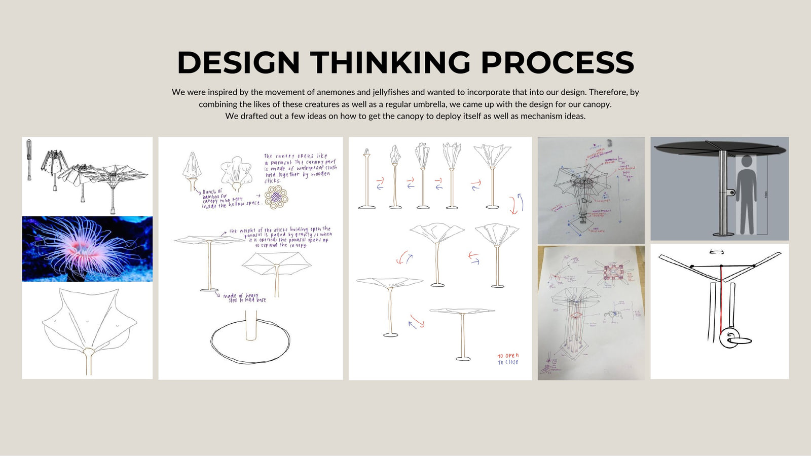 Ideation sheet: anemone and jellyfish references beside canopy deployment mechanism sketches