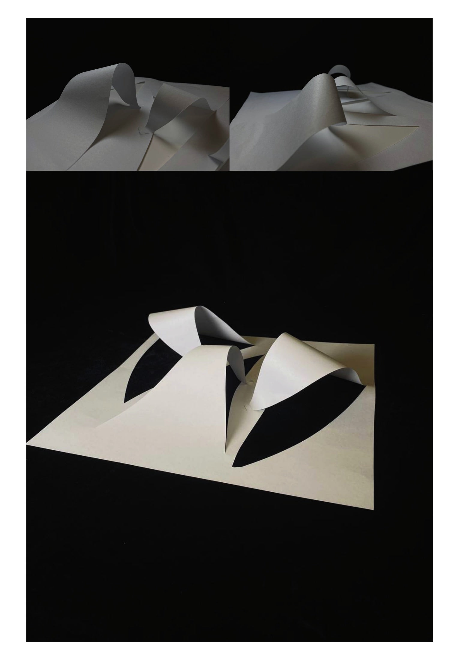 Petal Pavilion: cut and rolled paper petals slotted back into a single flat sheet